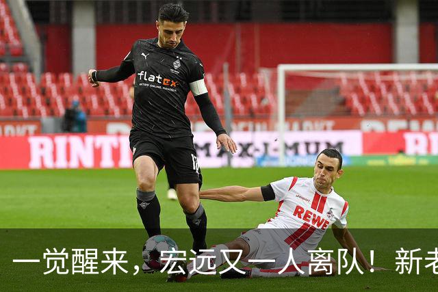 一觉醒来，宏远又一人离队！新老总杀伐果断，徐杰深夜发声，杜锋爱将被退货
